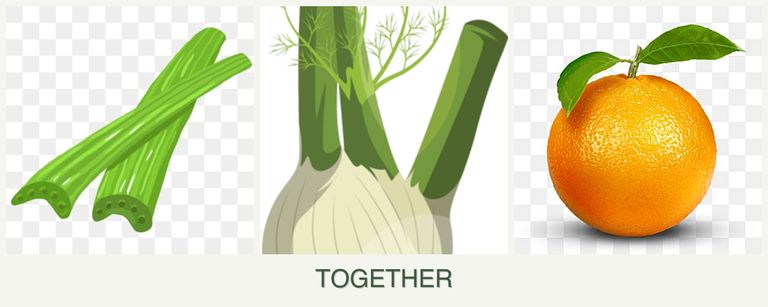 Can you plant celery, fennel and oranges together?