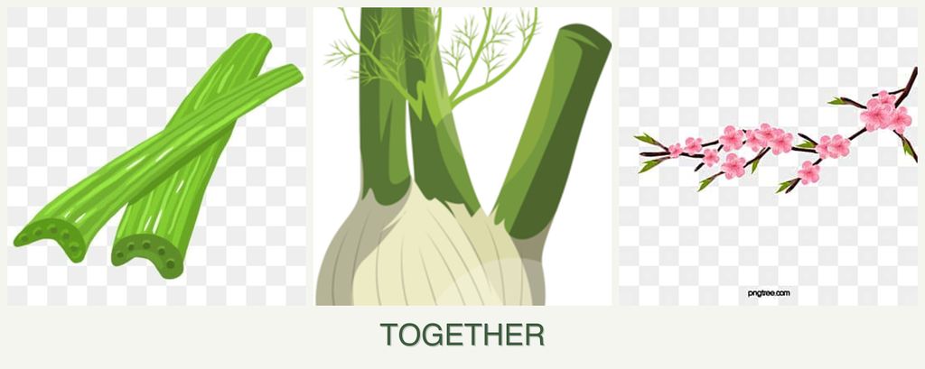 Can you plant celery, fennel and peaches together?