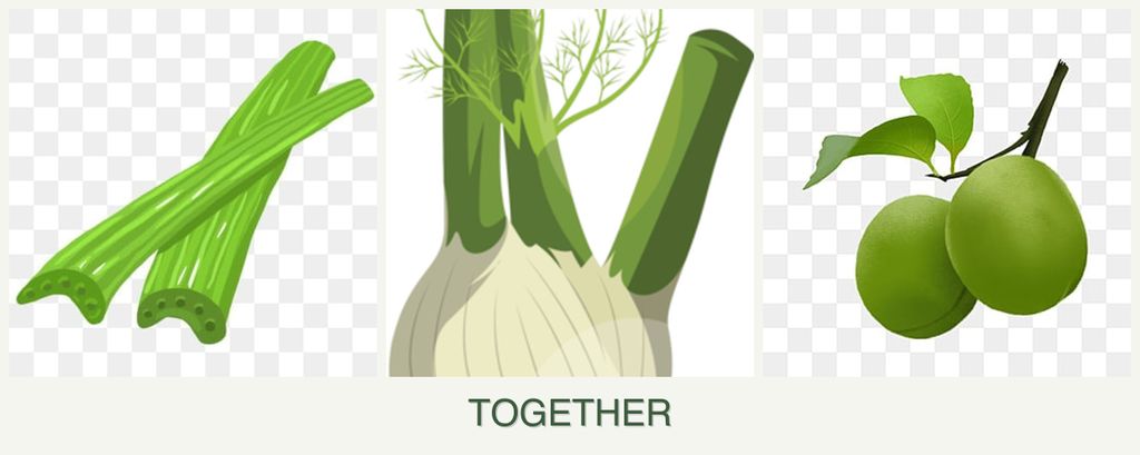 Can you plant celery, fennel and plums together?