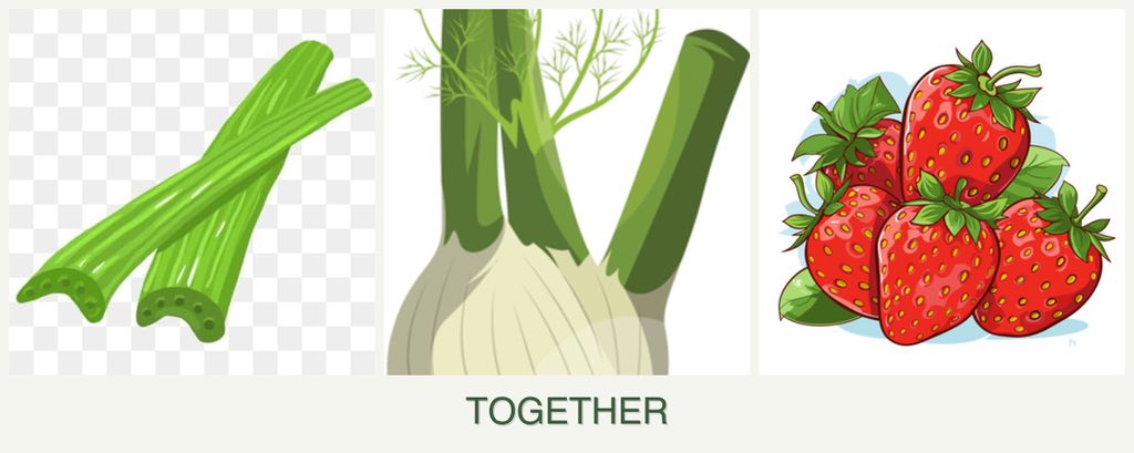 Can you plant celery, fennel and strawberries together?