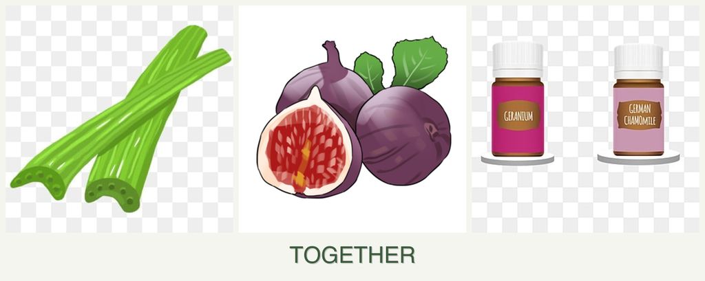 Can you plant celery, figs and geraniums together?