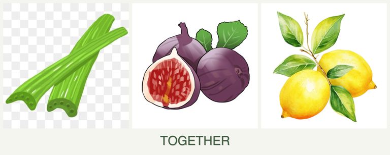Can you plant celery, figs and lemons together?