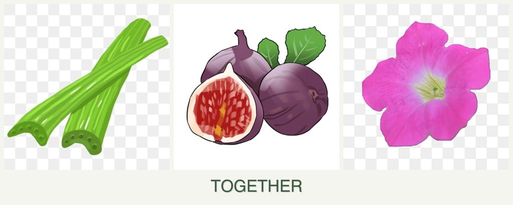 Can you plant celery, figs and petunias together?