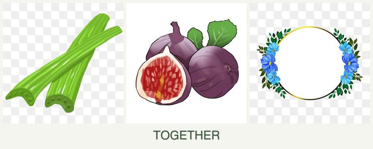 Can you plant celery, figs and zinnias together?