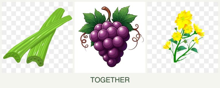 Can you plant celery, grapes and calendula together?