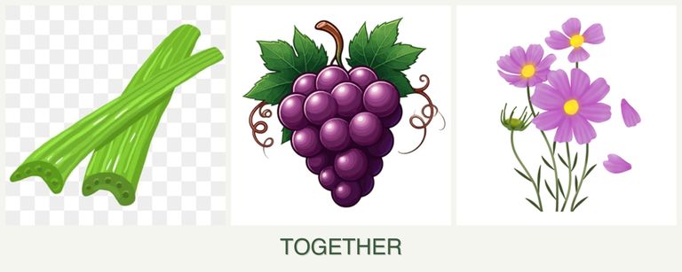 Can you plant celery, grapes and cosmos together?