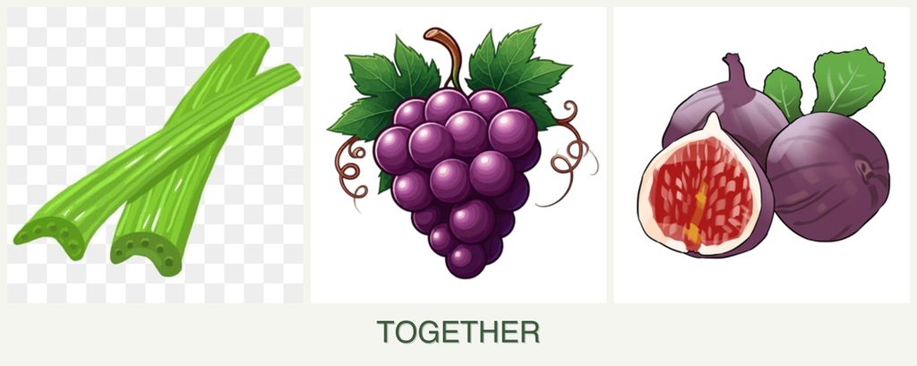 Can you plant celery, grapes and figs together?