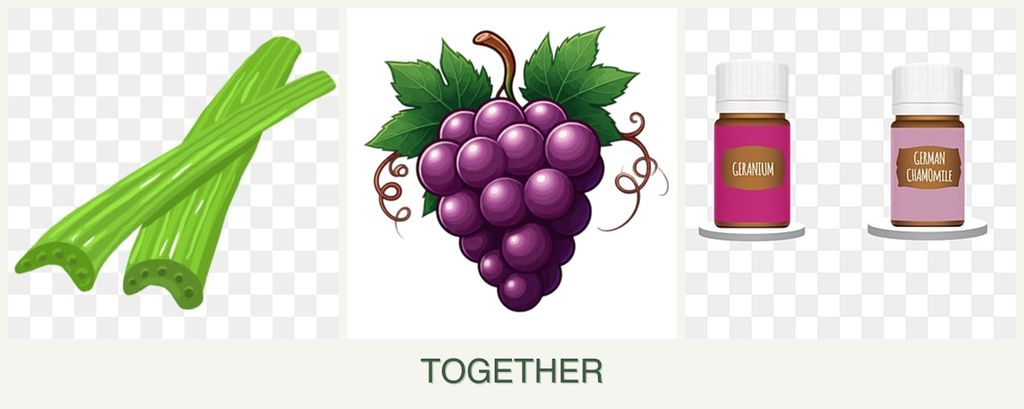 Can you plant celery, grapes and geraniums together?