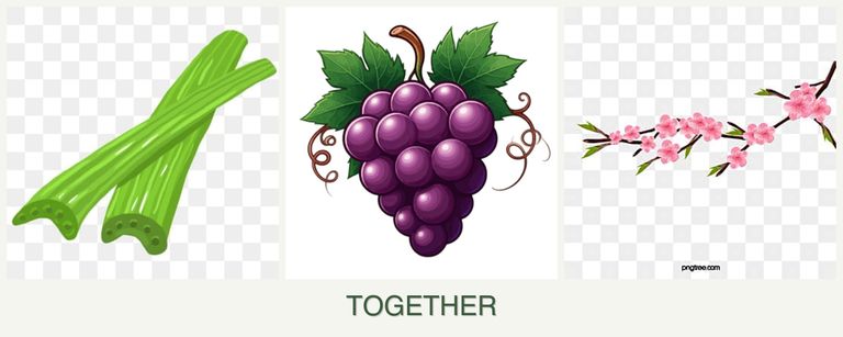 Can you plant celery, grapes and peaches together?