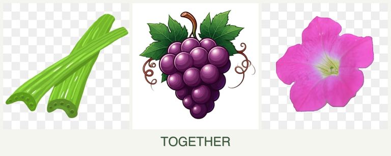 Can you plant celery, grapes and petunias together?