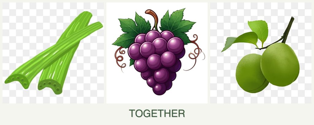 Can you plant celery, grapes and plums together?