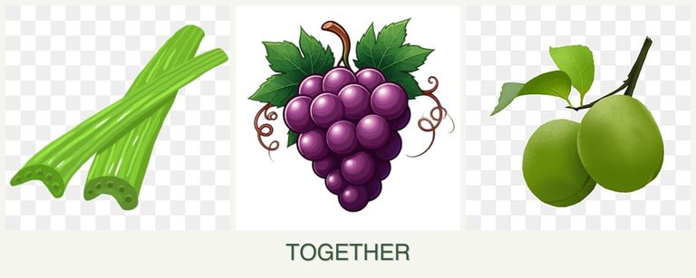 Can you plant celery, grapes and plums together?