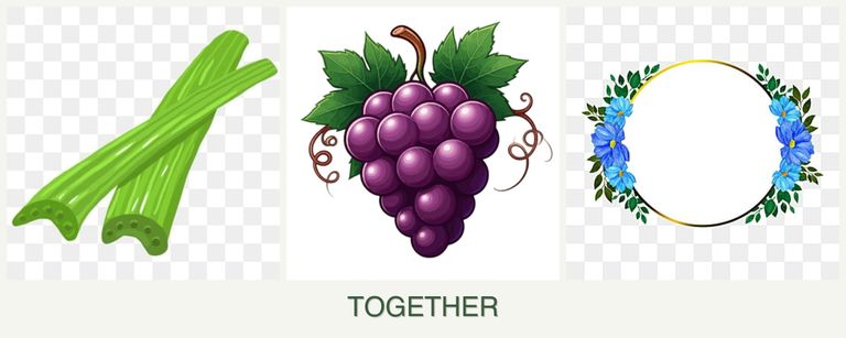 Can you plant celery, grapes and zinnias together?