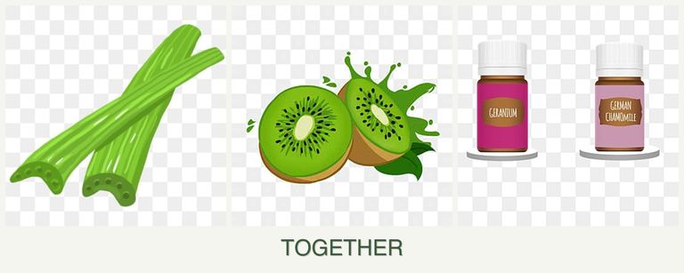 Can you plant celery, kiwi and geraniums together?