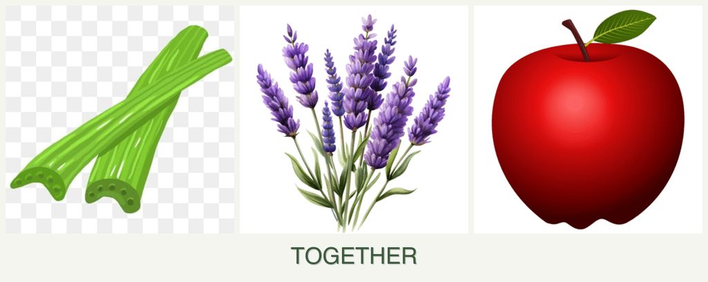 Can you plant celery, lavender and apples together?