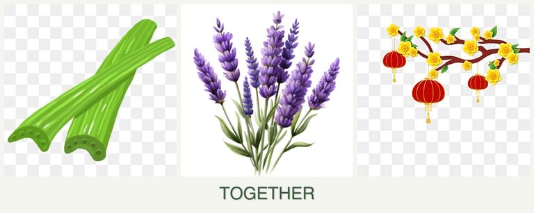 Can you plant celery, lavender and apricots together?