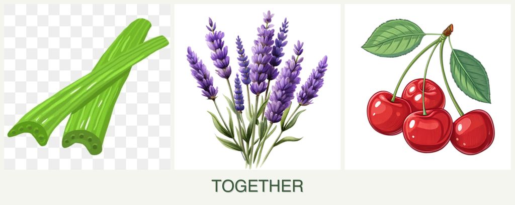 Can you plant celery, lavender and cherries together?