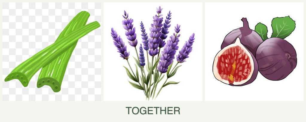 Can you plant celery, lavender and figs together?