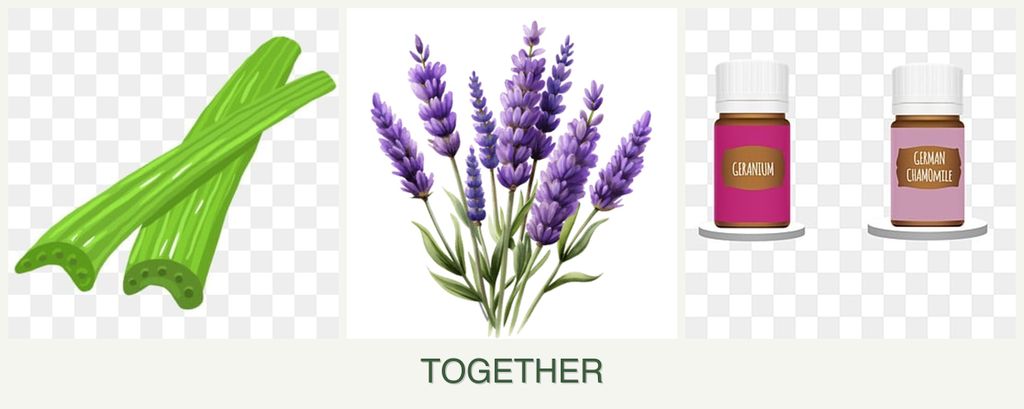 Can you plant celery, lavender and geraniums together?