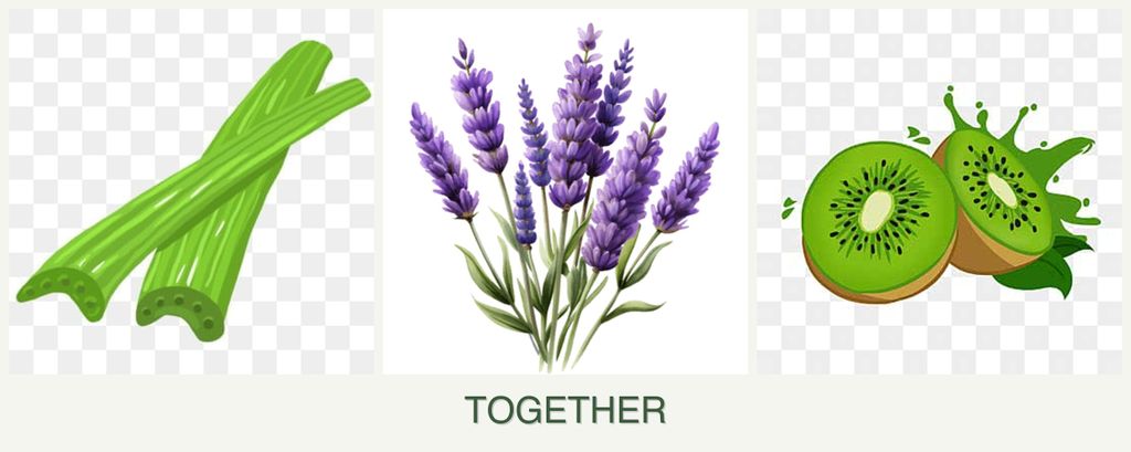 Can you plant celery, lavender and kiwi together?