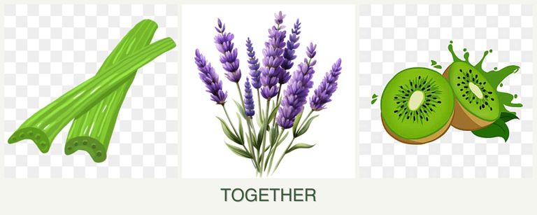 Can you plant celery, lavender and kiwi together?