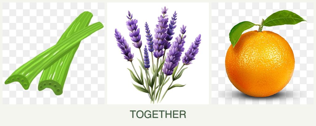Can you plant celery, lavender and oranges together?