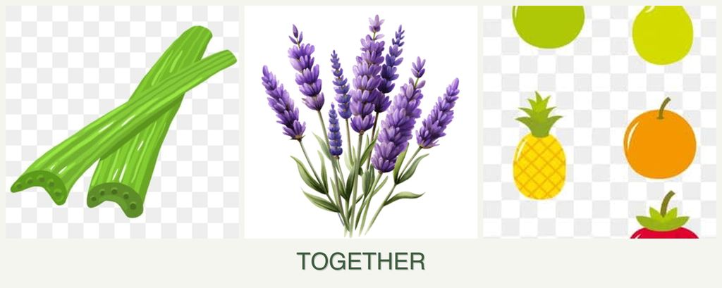 Can you plant celery, lavender and pears together?