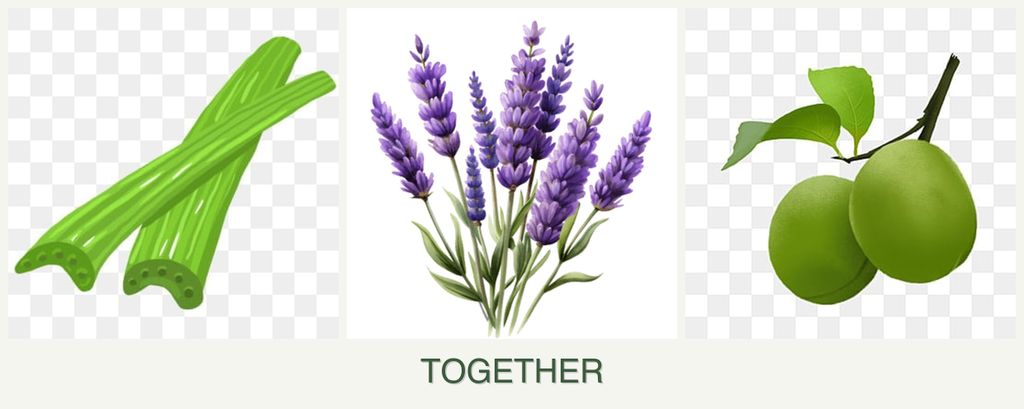 Can you plant celery, lavender and plums together?
