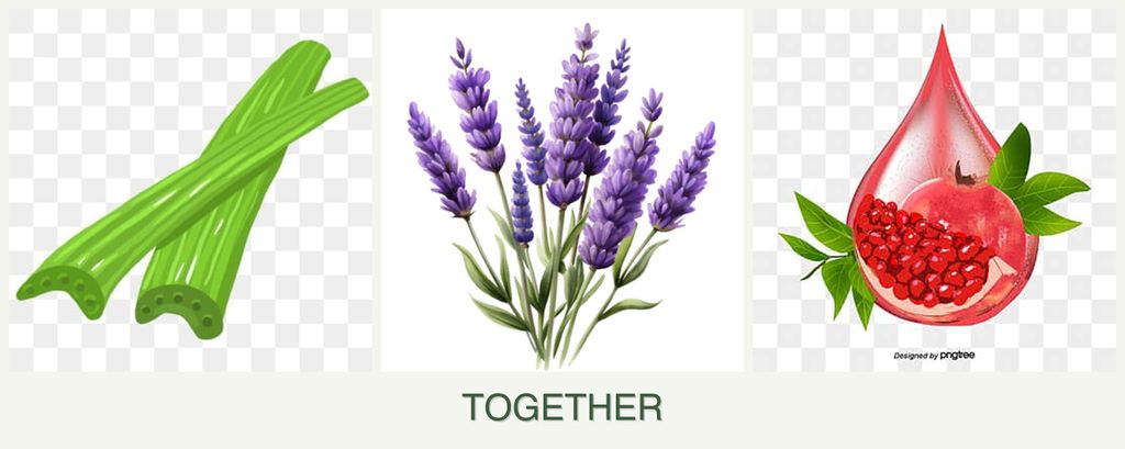 Can you plant celery, lavender and pomegranates together?