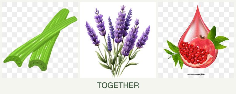 Can you plant celery, lavender and pomegranates together?
