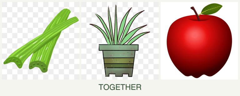 Can you plant celery, lemongrass and apples together?