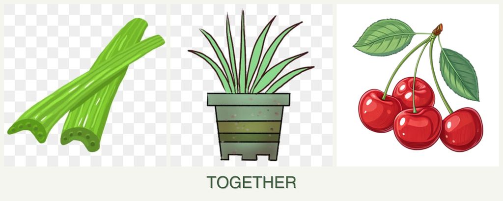 Can you plant celery, lemongrass and cherries together?