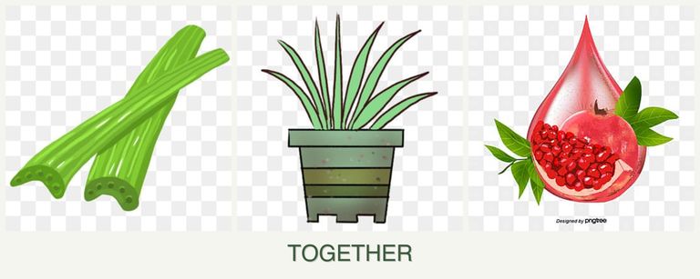 Can you plant celery, lemongrass and pomegranates together?