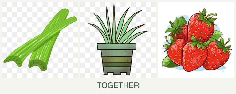 Can you plant celery, lemongrass and strawberries together?