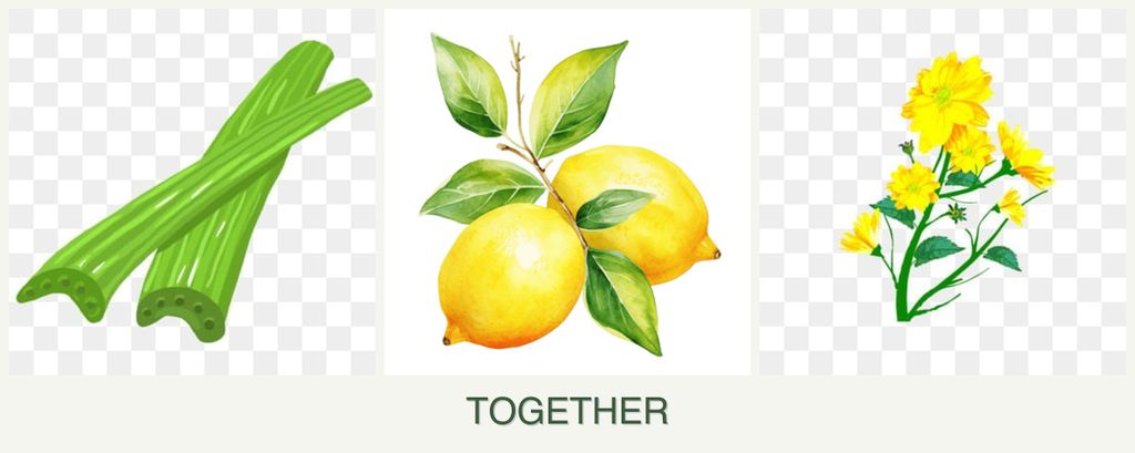 Can you plant celery, lemons and calendula together?