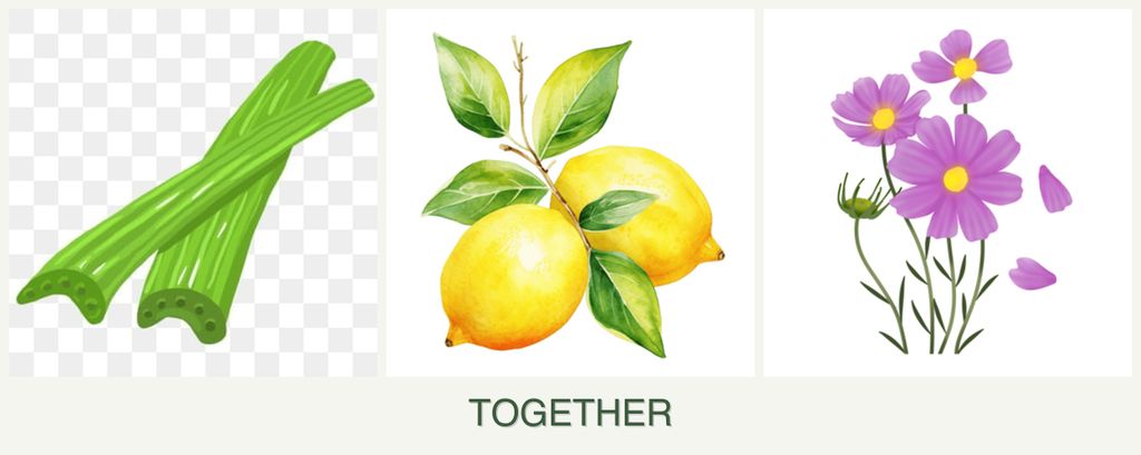 Can you plant celery, lemons and cosmos together?