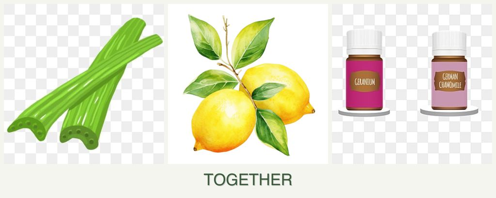 Can you plant celery, lemons and geraniums together?