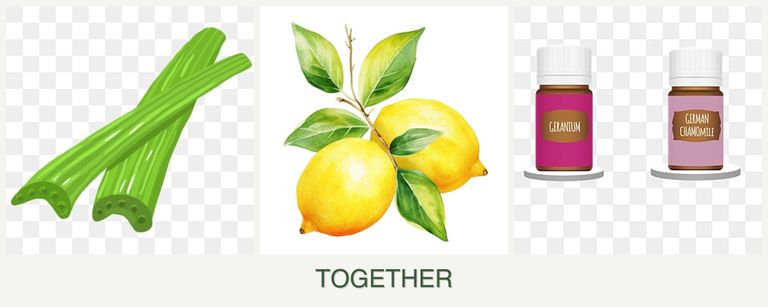 Can you plant celery, lemons and geraniums together?