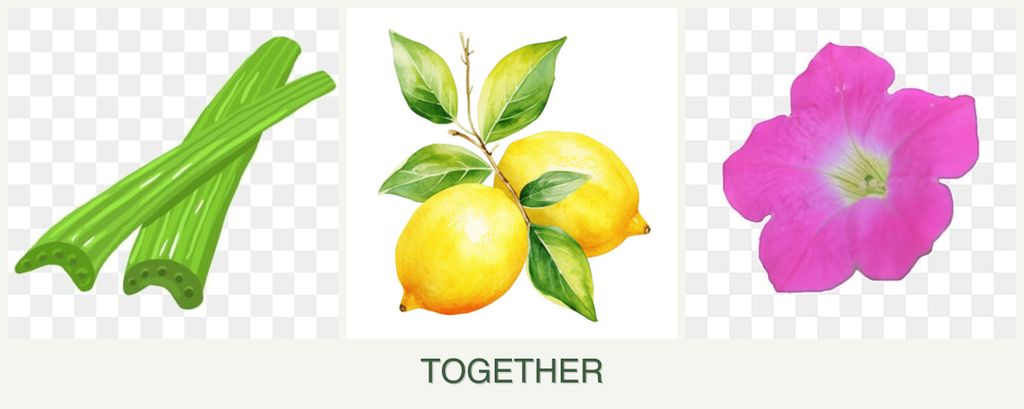 Can you plant celery, lemons and petunias together?