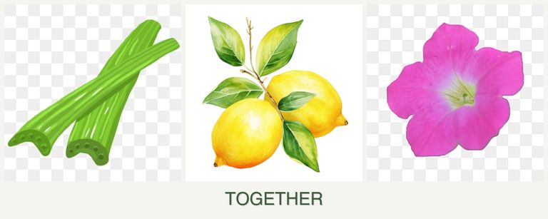 Can you plant celery, lemons and petunias together?