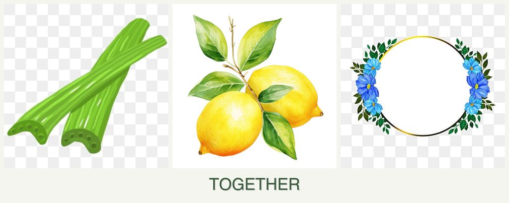 Can you plant celery, lemons and zinnias together?