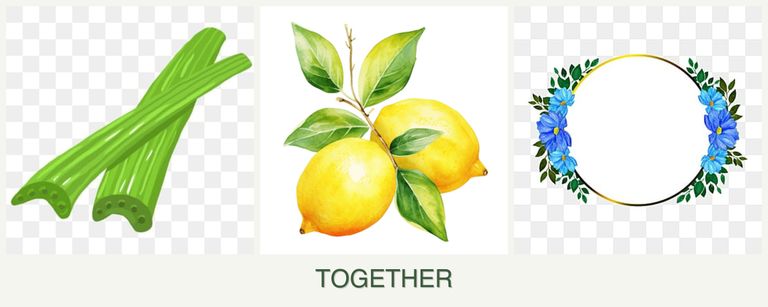 Can you plant celery, lemons and zinnias together?
