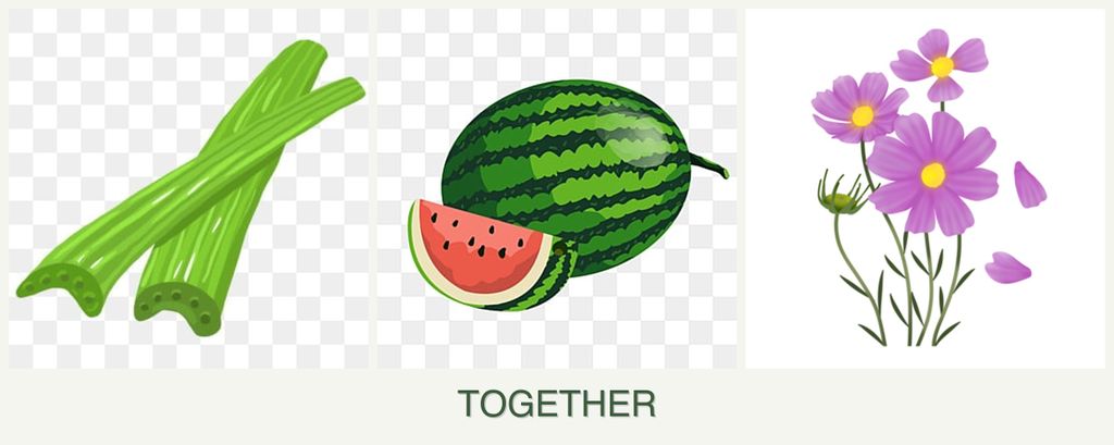 Can you plant celery, melons and cosmos together?