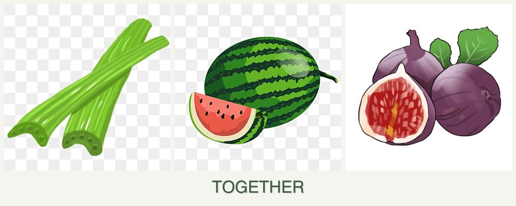 Can you plant celery, melons and figs together?