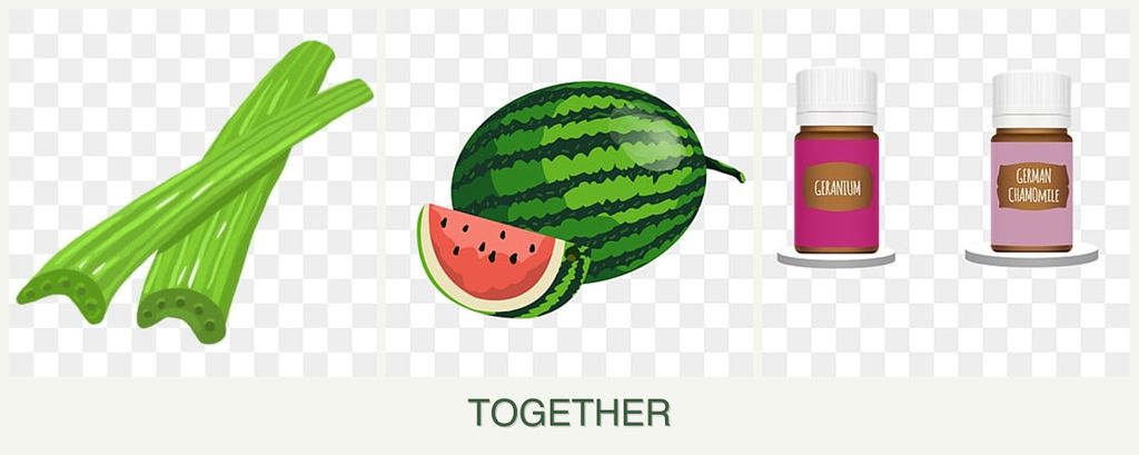 Can you plant celery, melons and geraniums together?