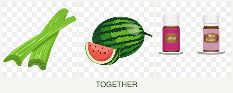 Can you plant celery, melons and geraniums together?