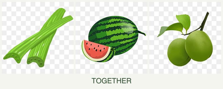Can you plant celery, melons and plums together?