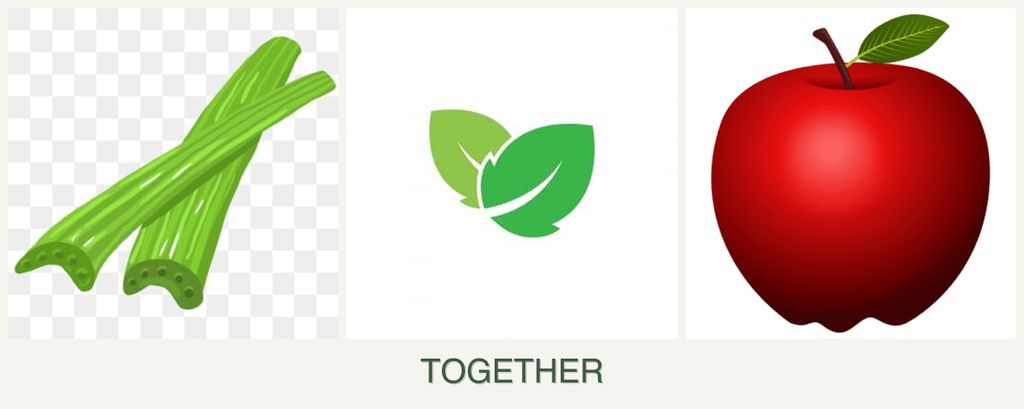 Can you plant celery, mint and apples together?
