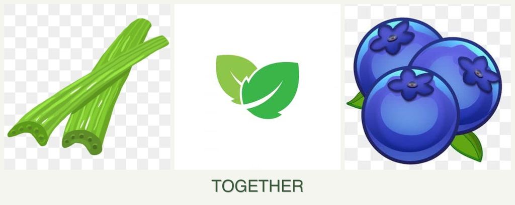 Can you plant celery, mint and blueberries together?