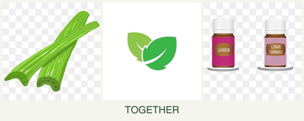 Can you plant celery, mint and geraniums together?